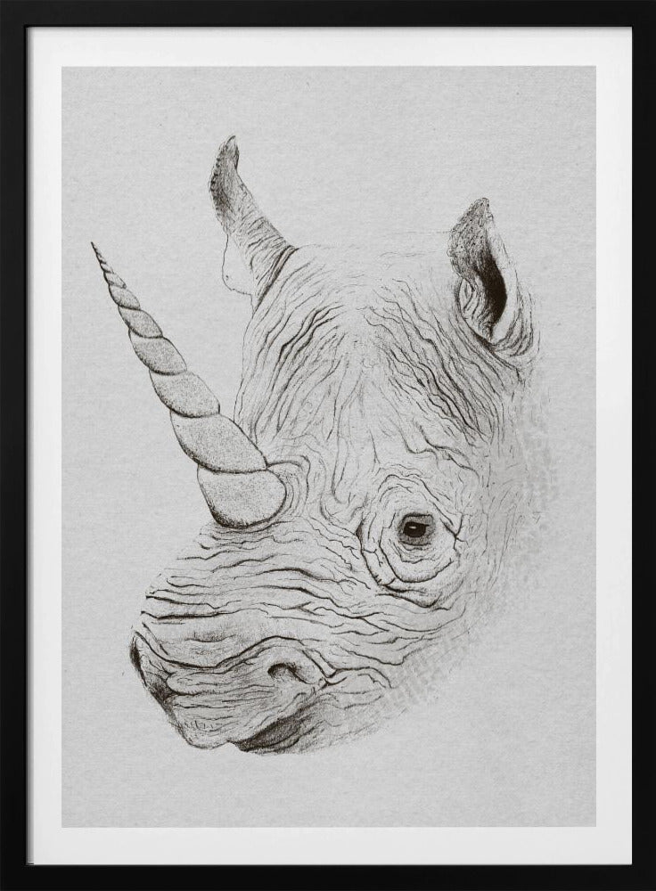 Rhinoplasty | Poster