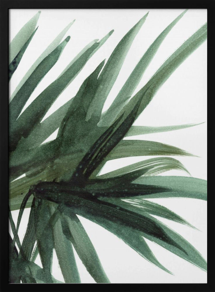 Lush | Poster