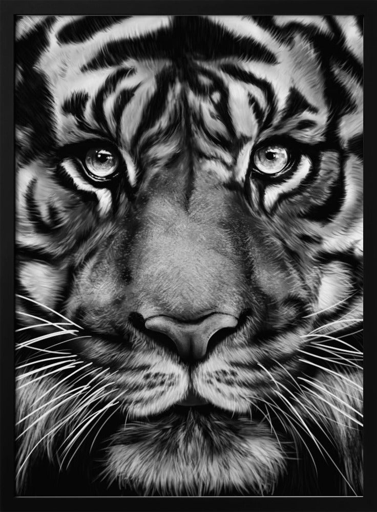 Tiger | Poster
