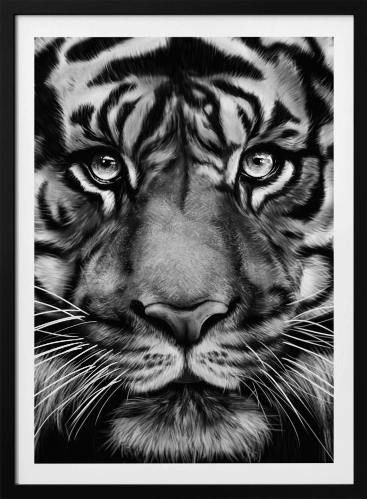 Tiger | Poster
