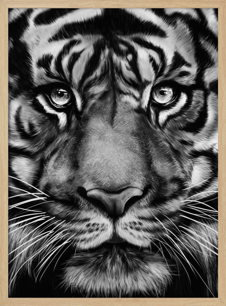 Tiger | Poster