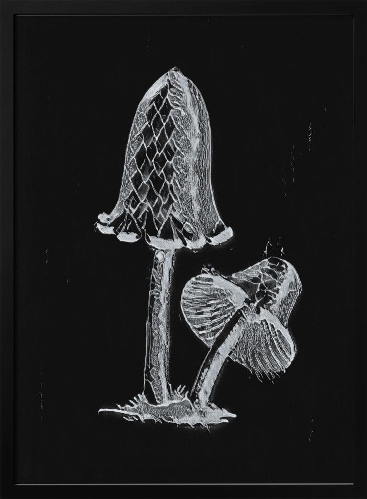 Vintage Inky Cap Edible Mushroom Dark BW | Poster