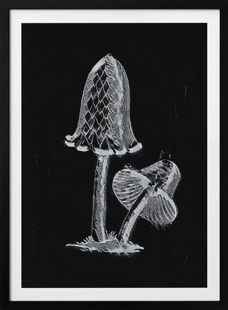 Vintage Inky Cap Edible Mushroom Dark BW | Poster