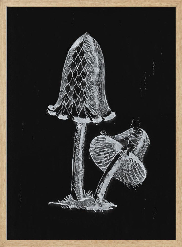 Vintage Inky Cap Edible Mushroom Dark BW | Poster