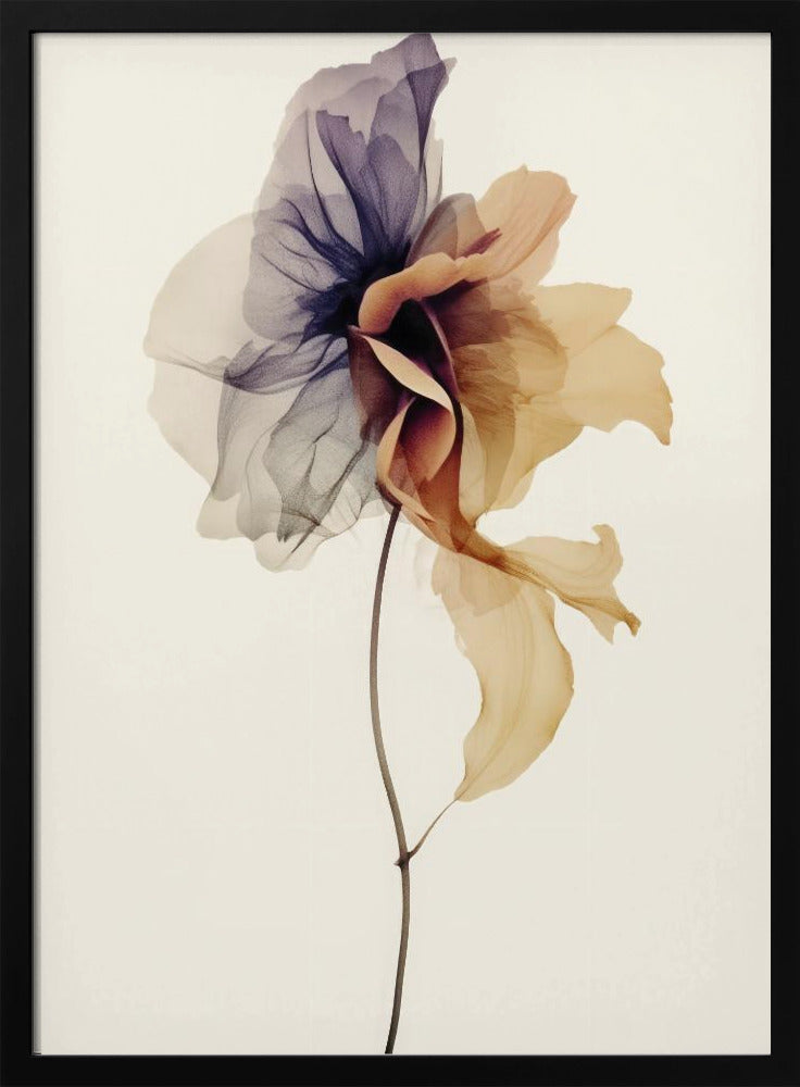 Chiffon Flower | Poster