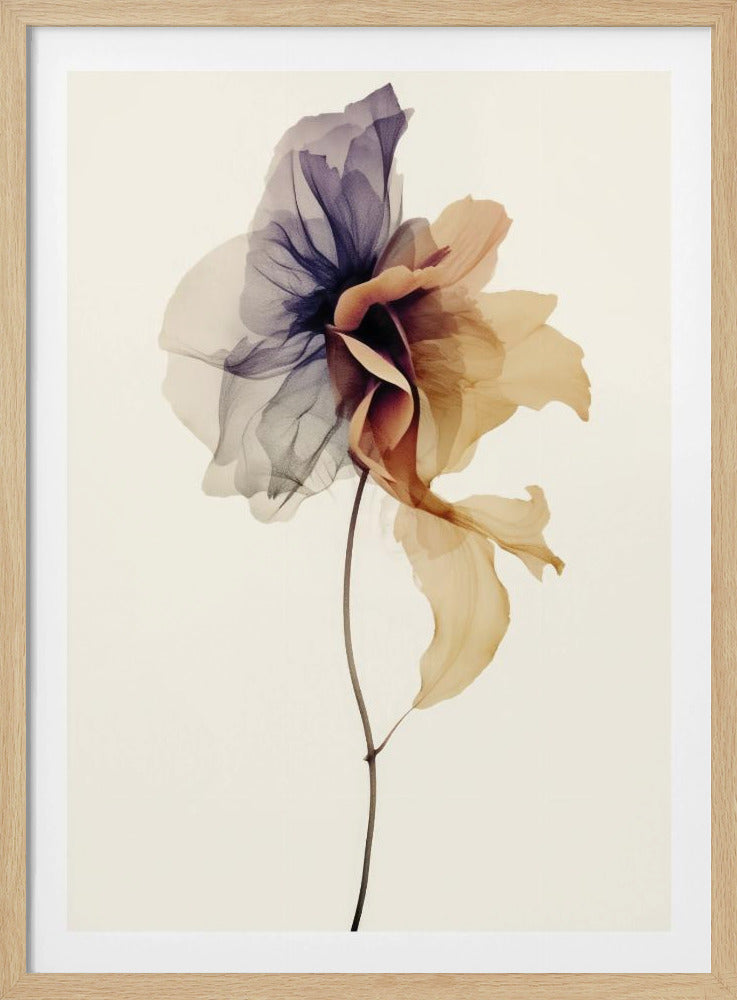 Chiffon Flower | Poster