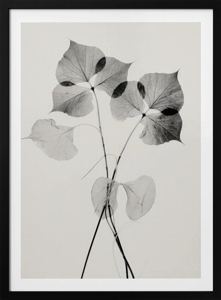 Ethereal Leaves | Poster