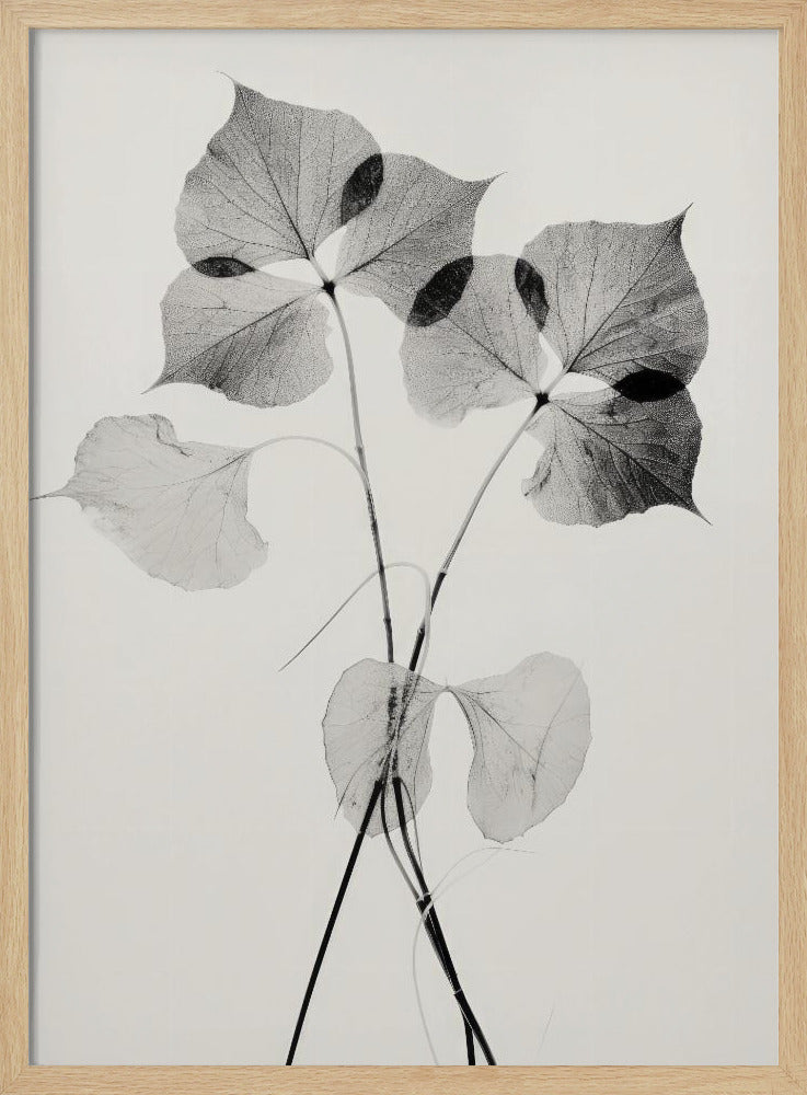 Ethereal Leaves | Poster