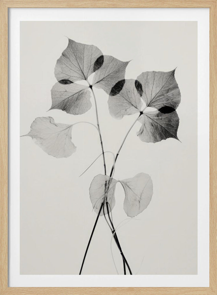 Ethereal Leaves | Poster
