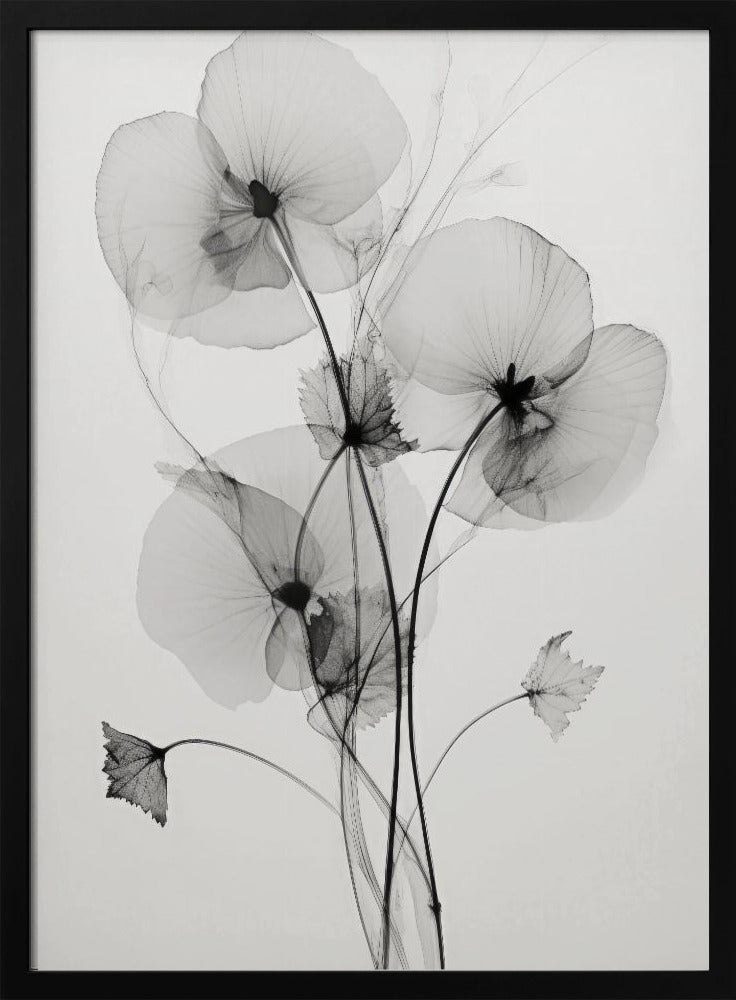 Transparent Botanic No1 | Poster
