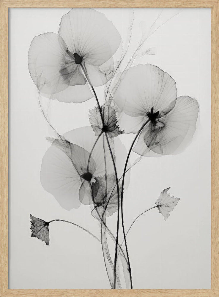 Transparent Botanic No1 | Poster