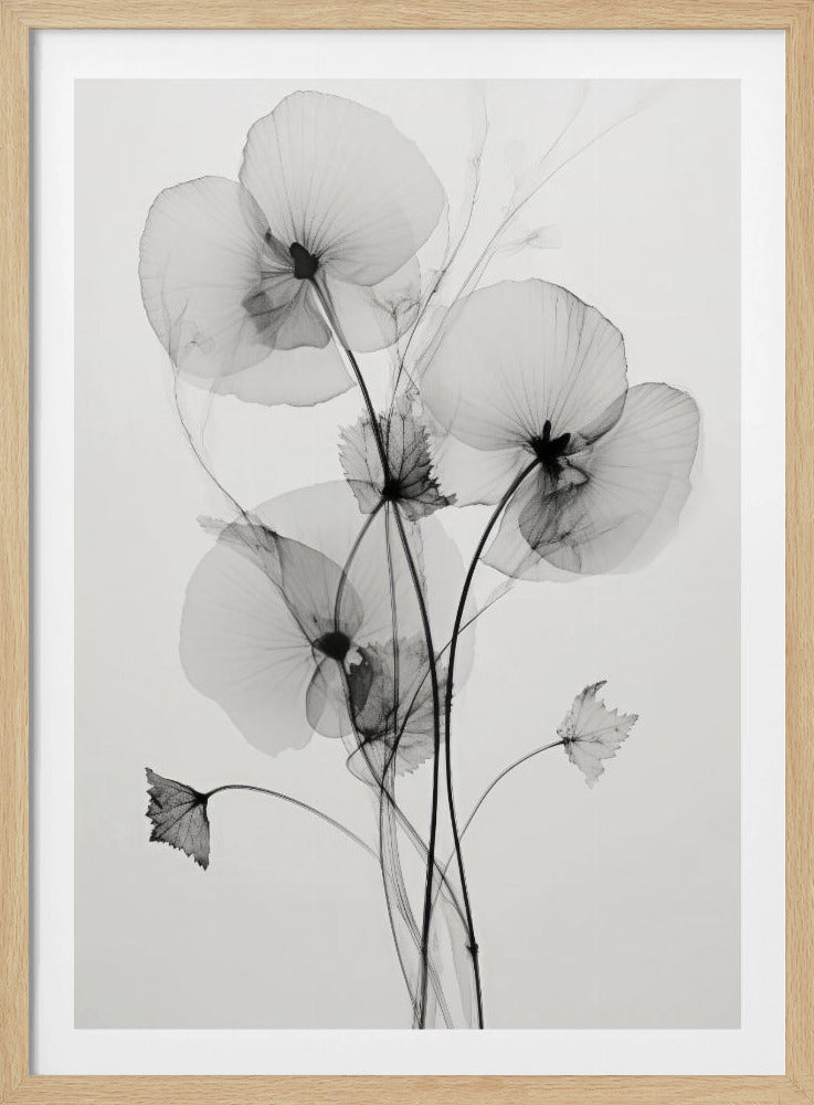 Transparent Botanic No1 | Poster