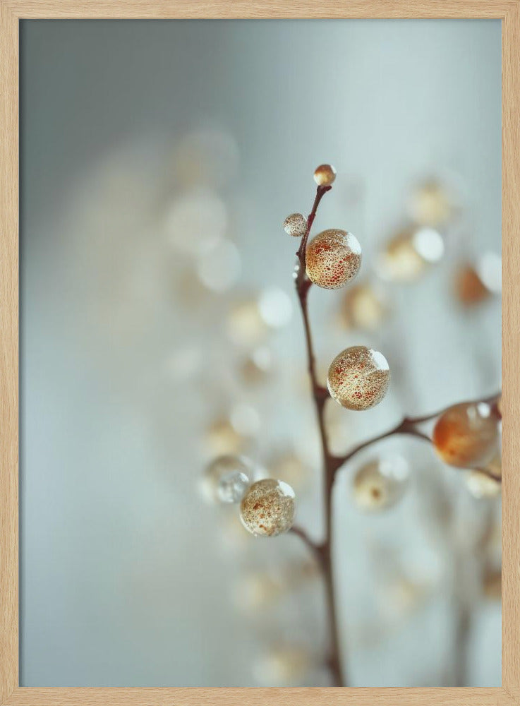 Glowing Dew Drops | Poster