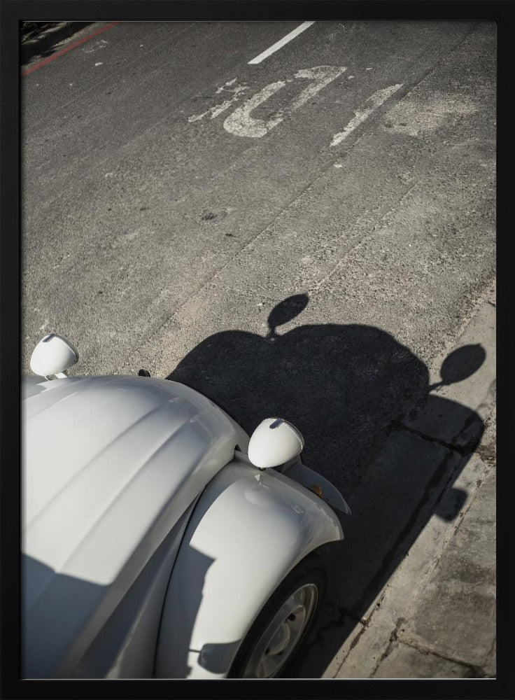 Classic Curve Shadows | Poster
