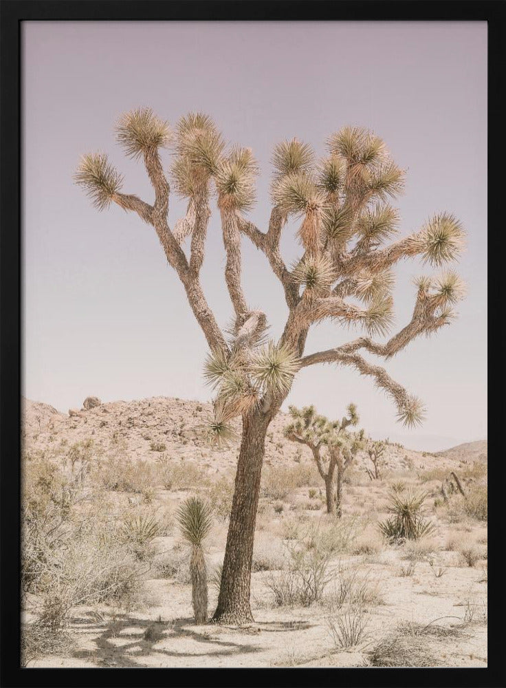Desert Serenity | Poster