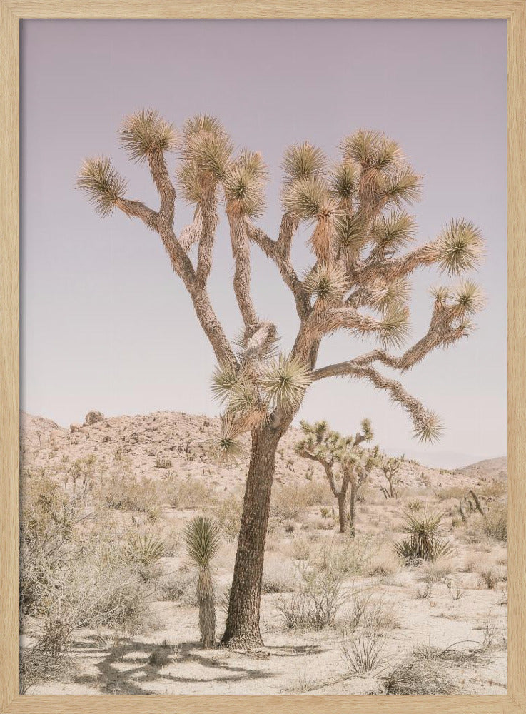 Desert Serenity | Poster