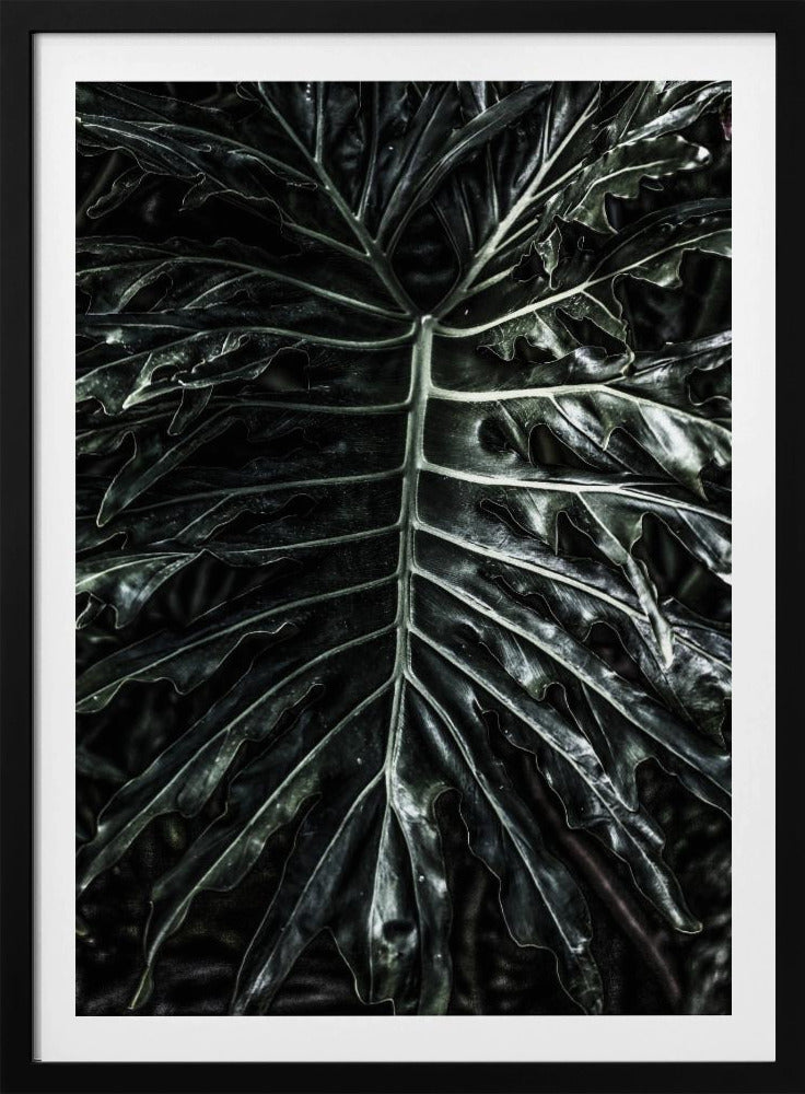 Dark Leaf Elegance | Poster
