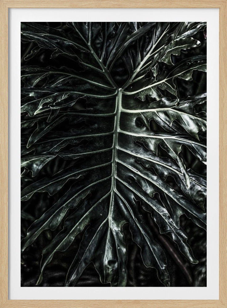 Dark Leaf Elegance | Poster
