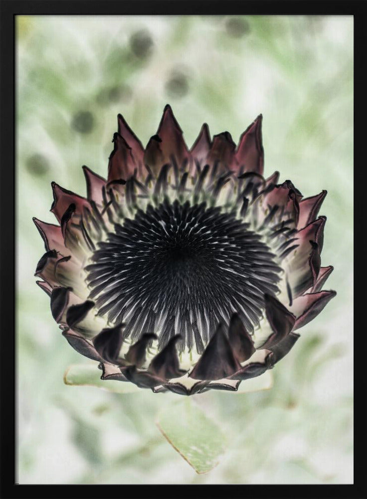 Mystic Bloom | Poster