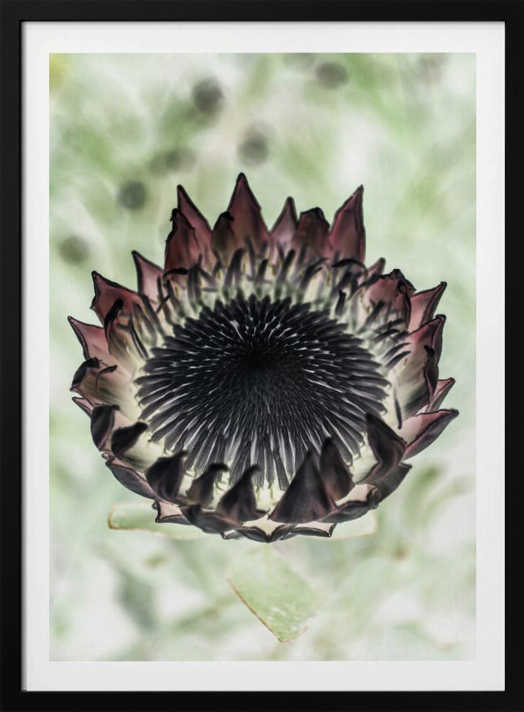 Mystic Bloom | Poster