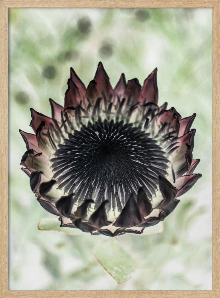 Mystic Bloom | Poster