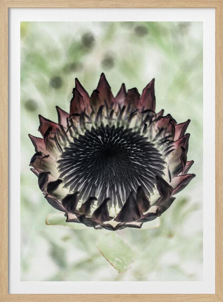 Mystic Bloom | Poster