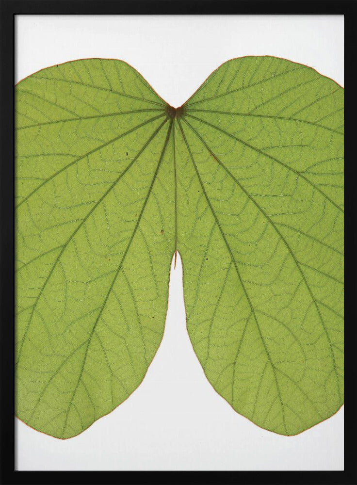 Leafy Vein Symphony | Poster