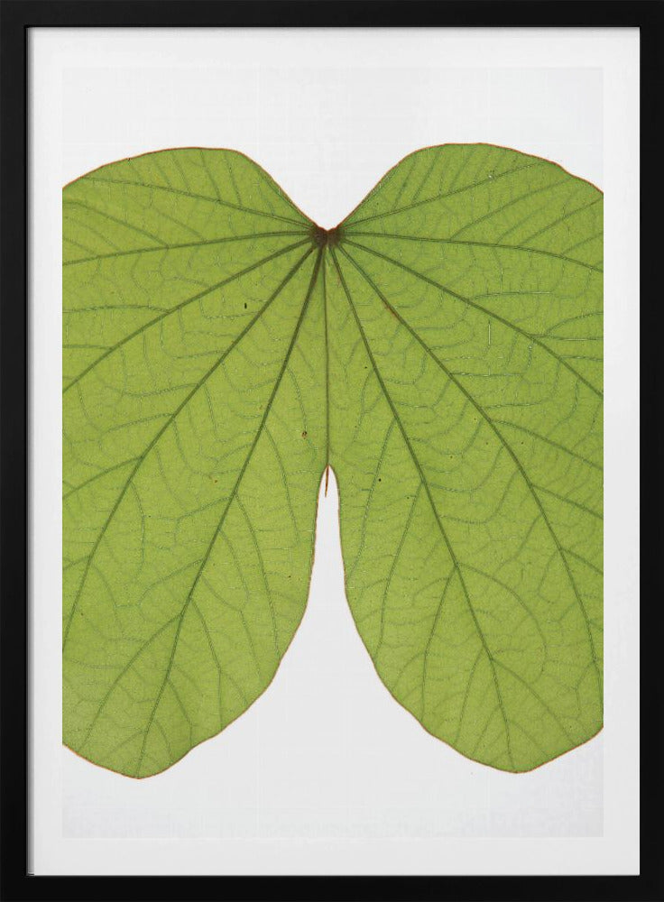 Leafy Vein Symphony | Poster