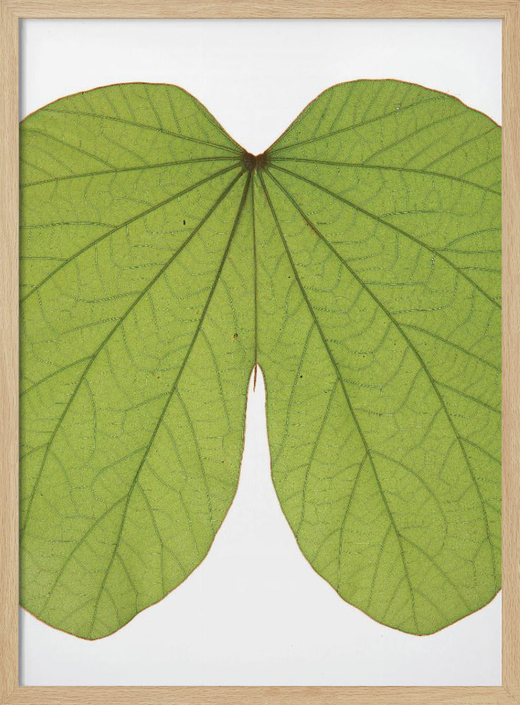 Leafy Vein Symphony | Poster