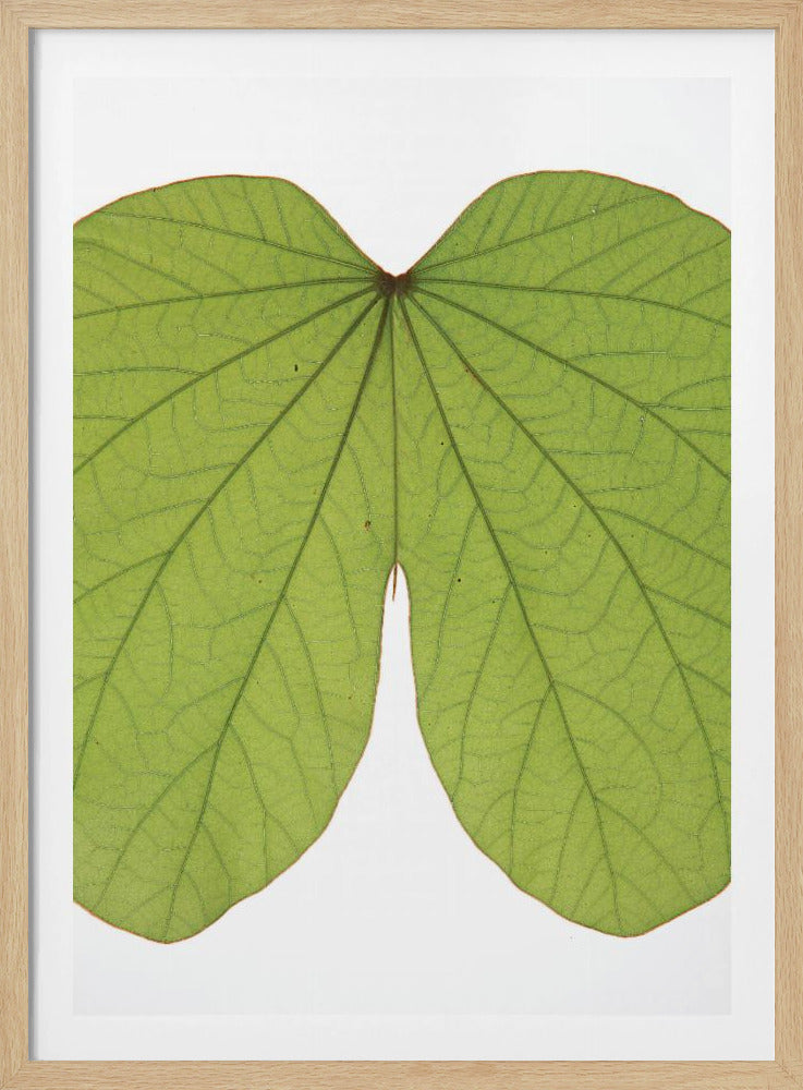 Leafy Vein Symphony | Poster