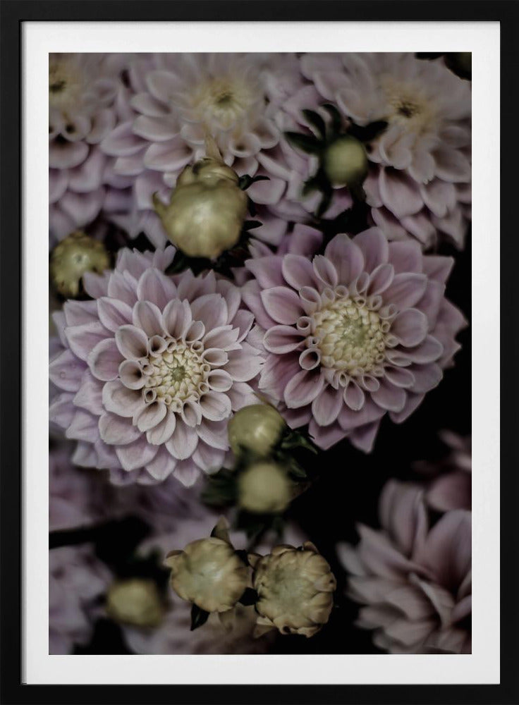 Petals in Bloom | Poster