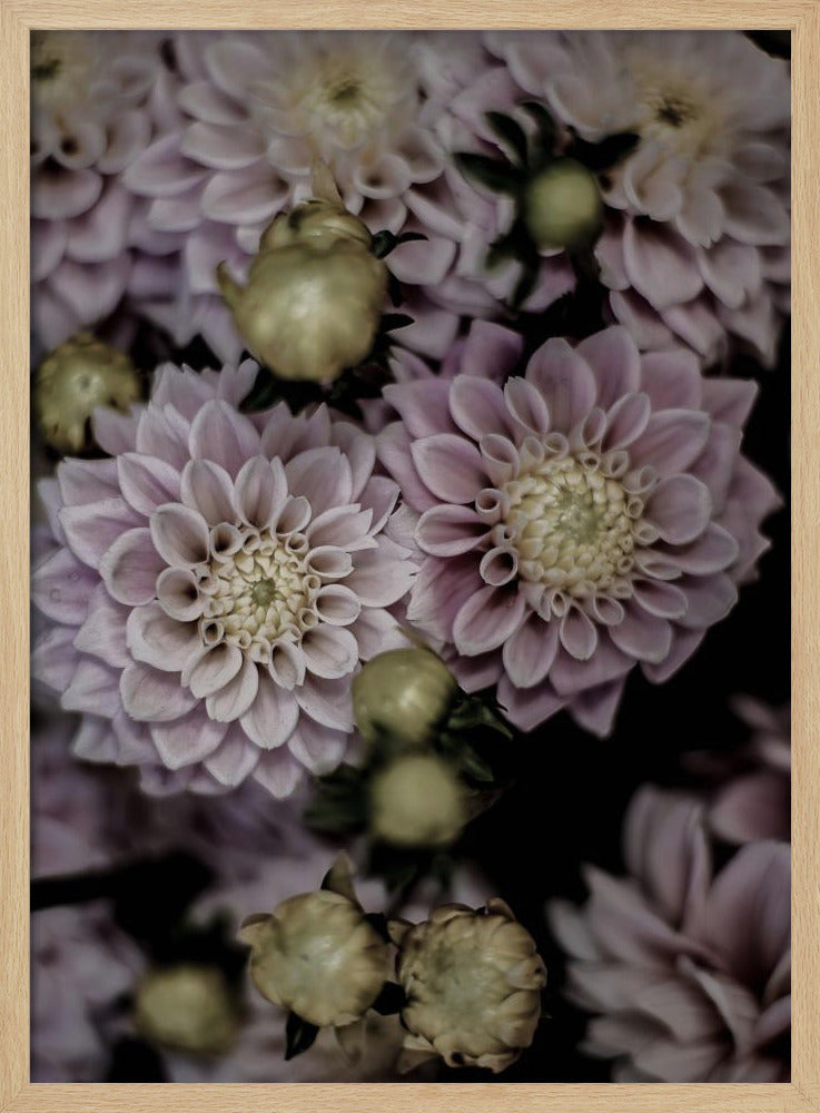 Petals in Bloom | Poster