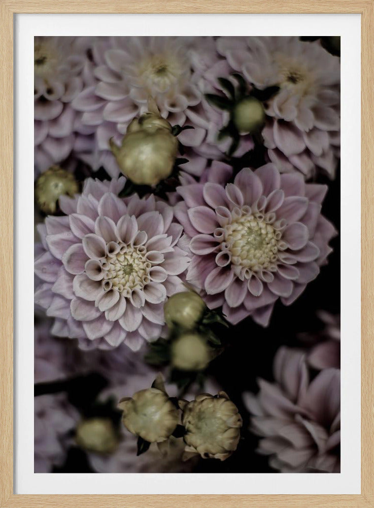 Petals in Bloom | Poster