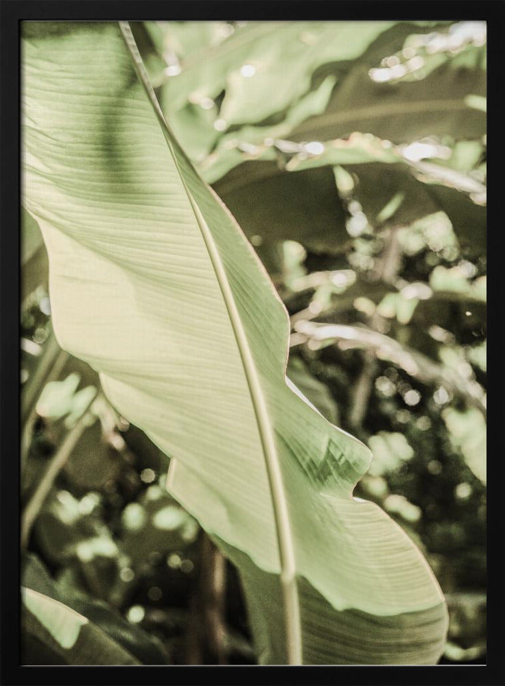 Emerald Canopy | Poster