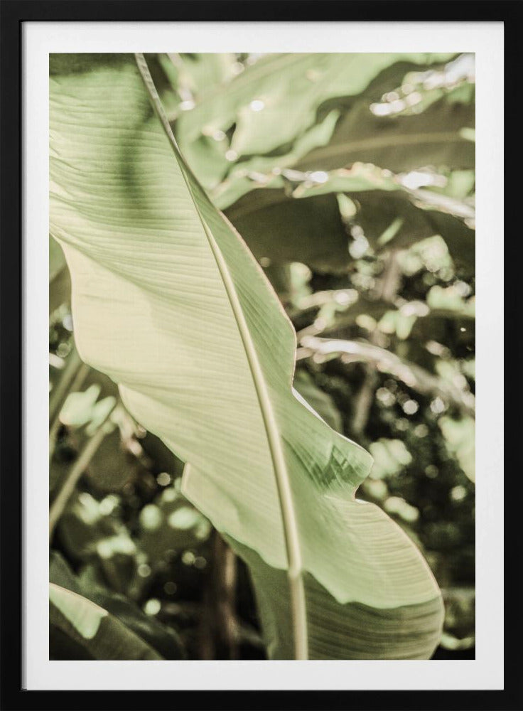 Emerald Canopy | Poster
