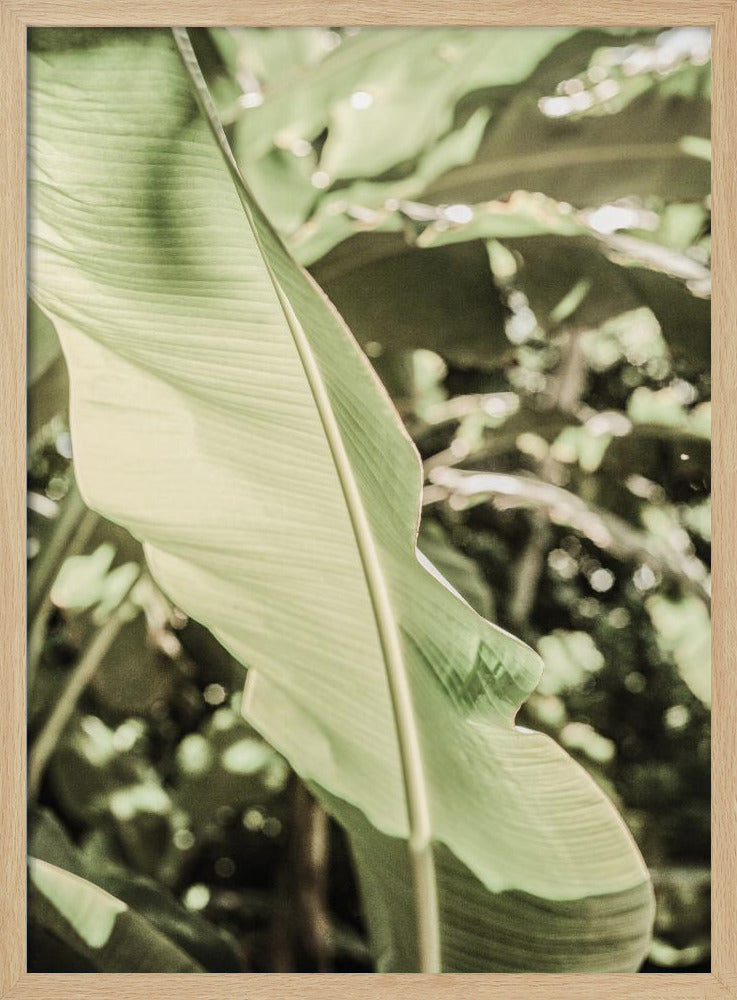 Emerald Canopy | Poster