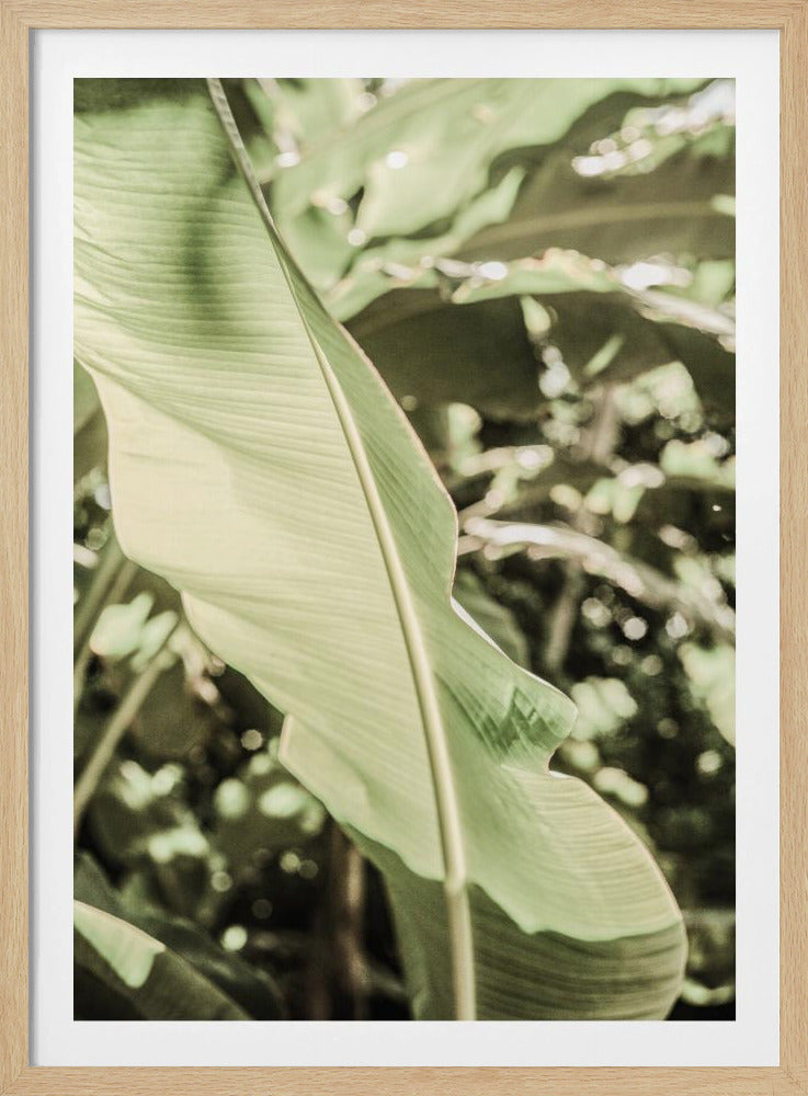 Emerald Canopy | Poster