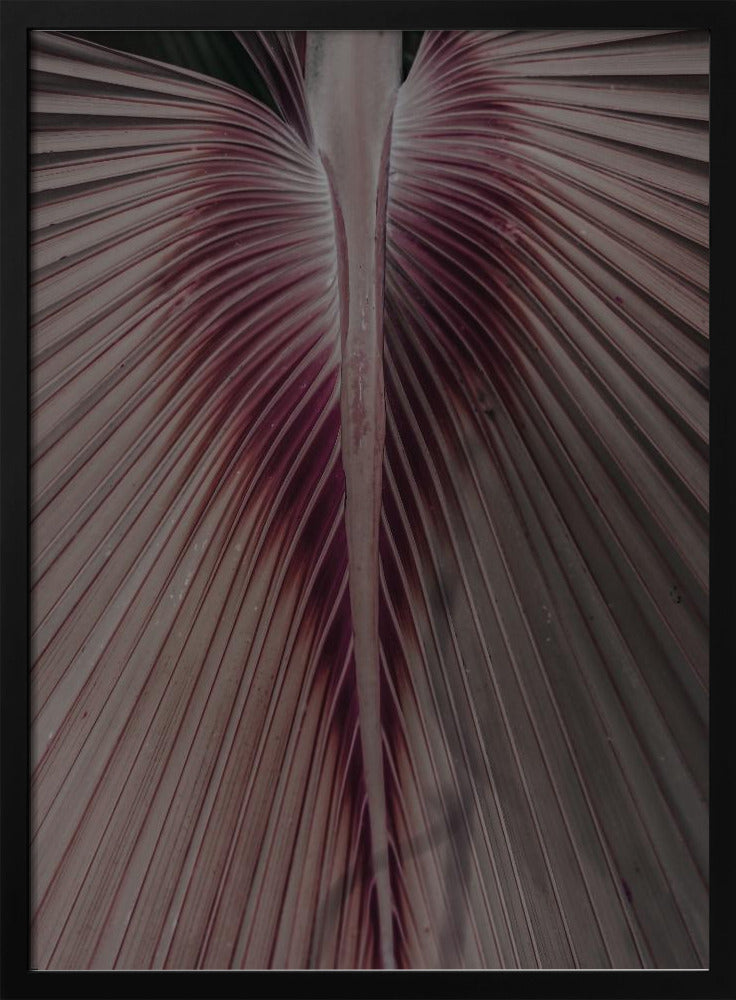 Crimson Leaf Veins | Poster