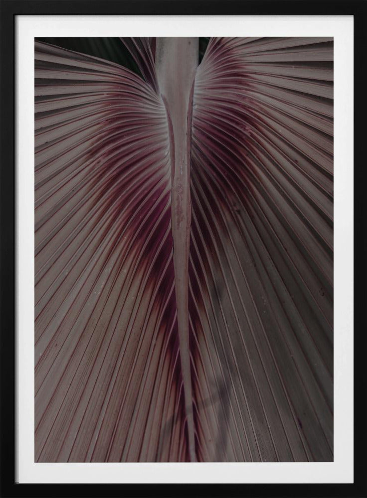 Crimson Leaf Veins | Poster