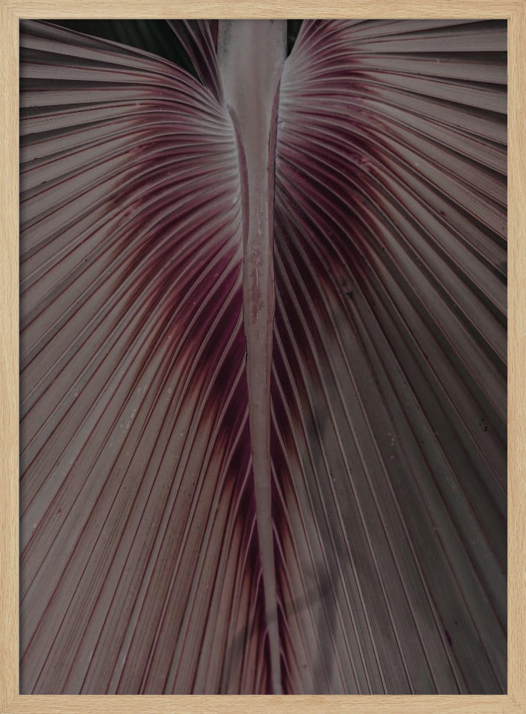 Crimson Leaf Veins | Poster