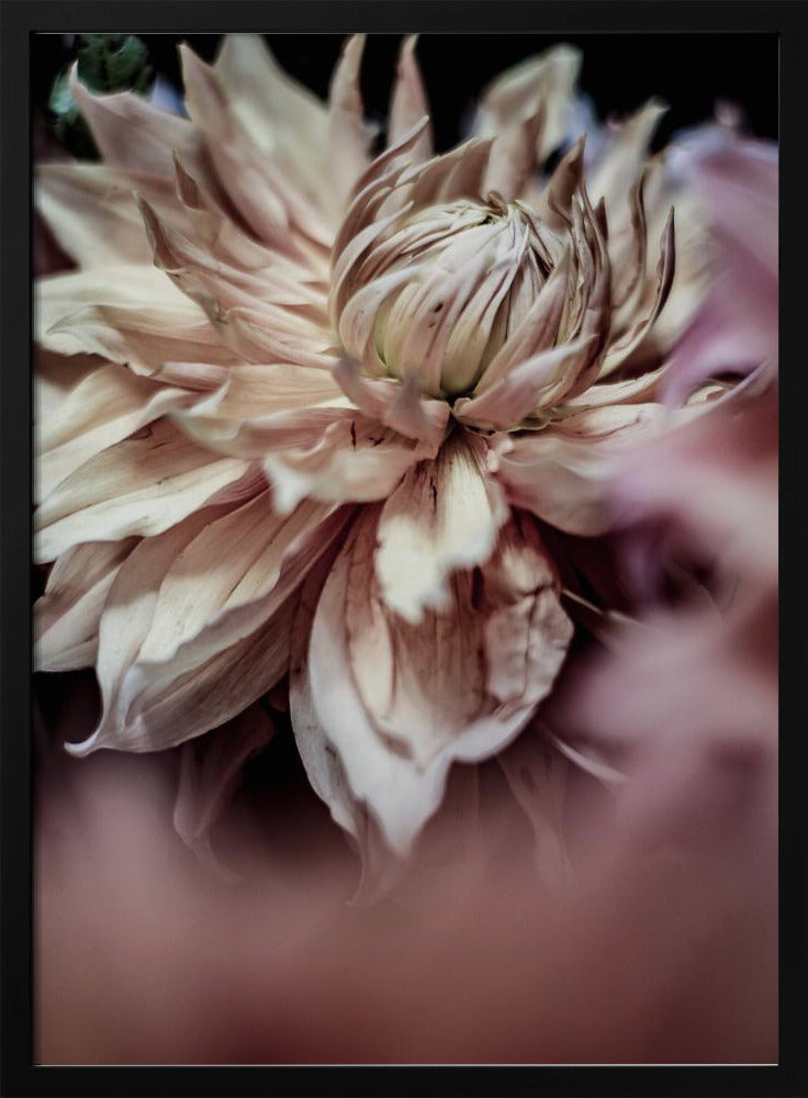Blossom Whispers | Poster
