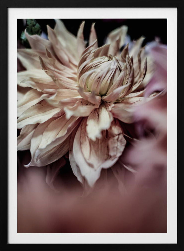 Blossom Whispers | Poster