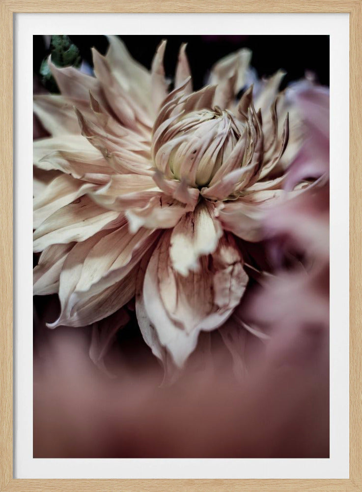 Blossom Whispers | Poster
