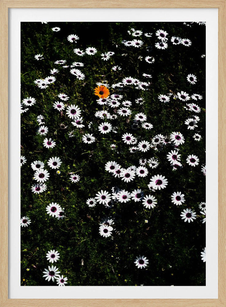 Unique Blossom | Poster