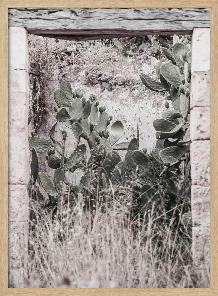 Desert Doorway Scene | Poster