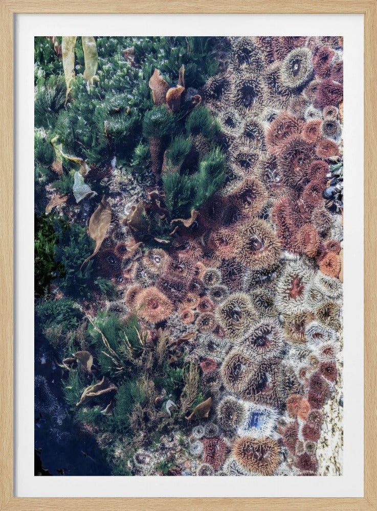 Ocean's Tapestry | Poster