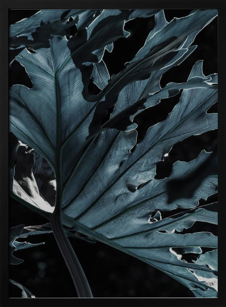 Leafy Shadowscape | Poster