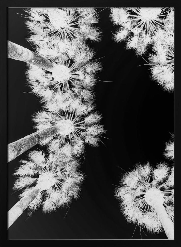 Inverted Palmscape | Poster