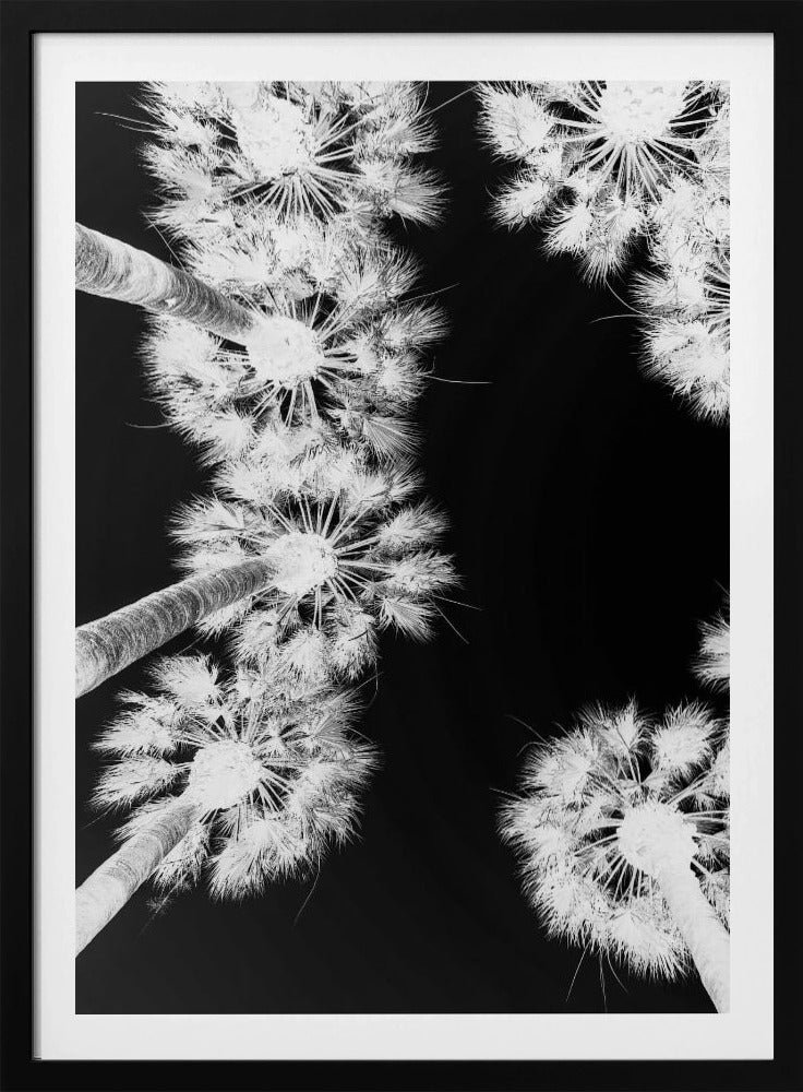 Inverted Palmscape | Poster