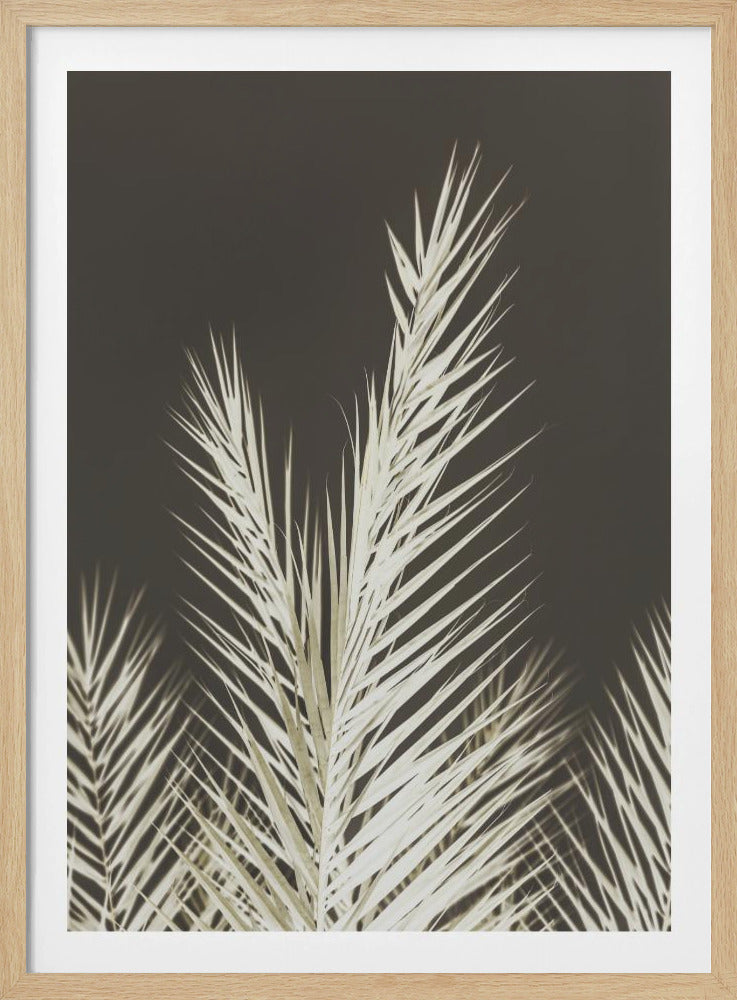 Luminescent Fronds | Poster
